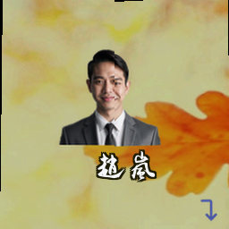 赵岚